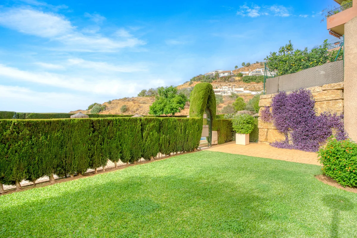 78b66b26-ab7c-4035-8ef9-c911b92ad8d1