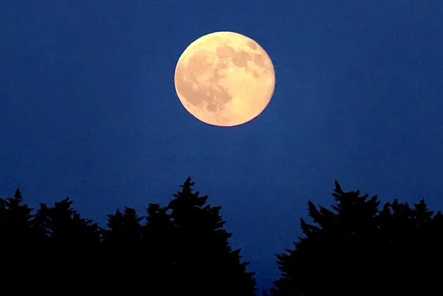 20eacc1e-8cf1-42ed-bba6-562306b5d0a2