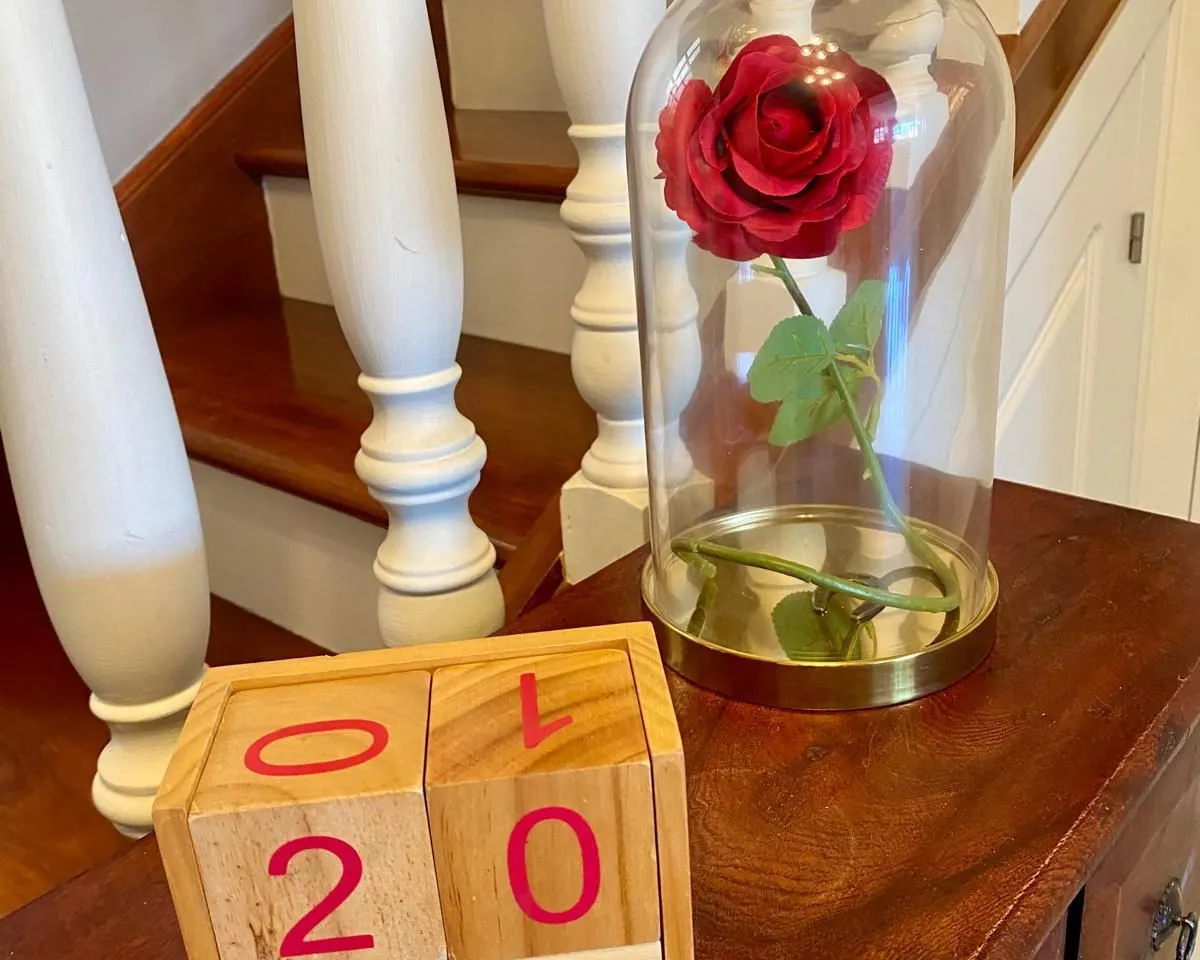 9321765b-0b91-4d0f-a2b4-262020a467cb