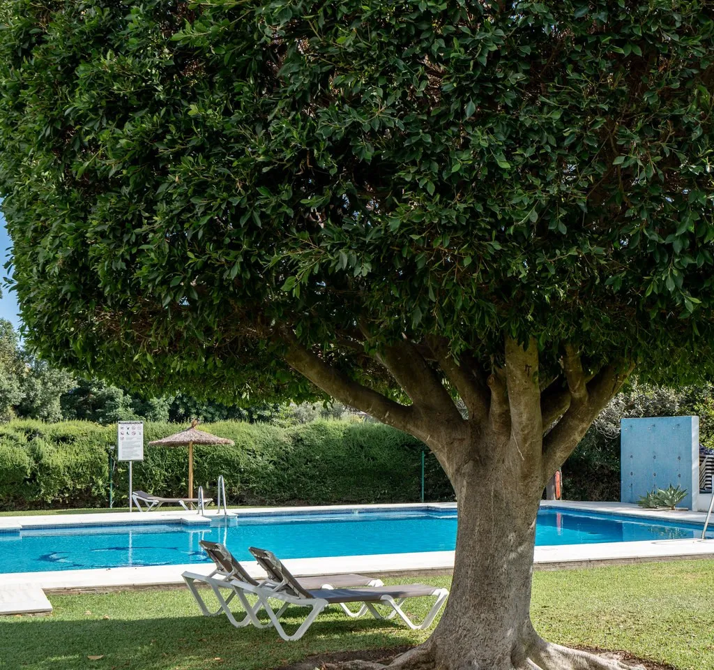 7a5c73d1-4a0c-4c52-8c65-d053d46fd9f5