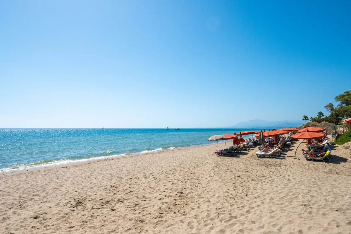 87647a37-ad6a-4581-baeb-e840f7a84949