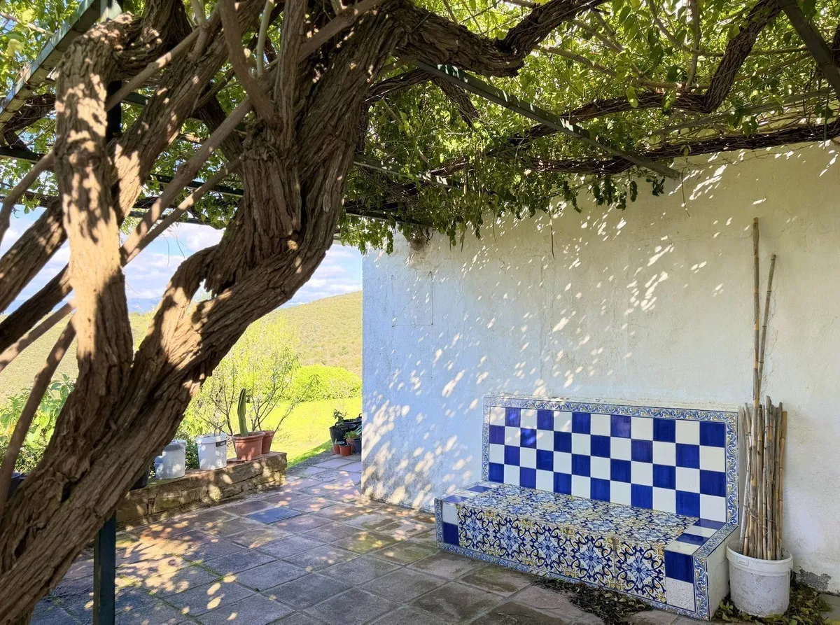 02a83202-5c22-4103-9769-ac6e6d1f76ff