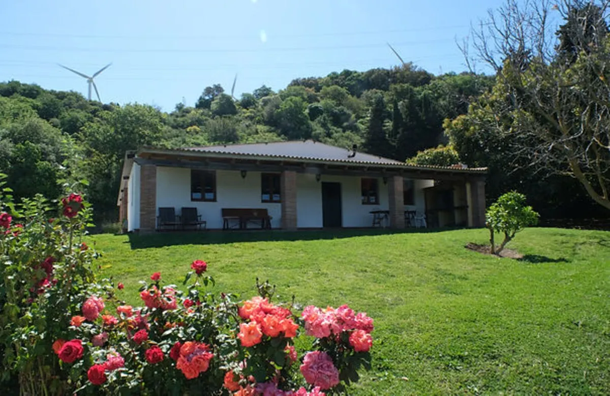 06e971a7-b160-47ed-9762-1aeca0adb527