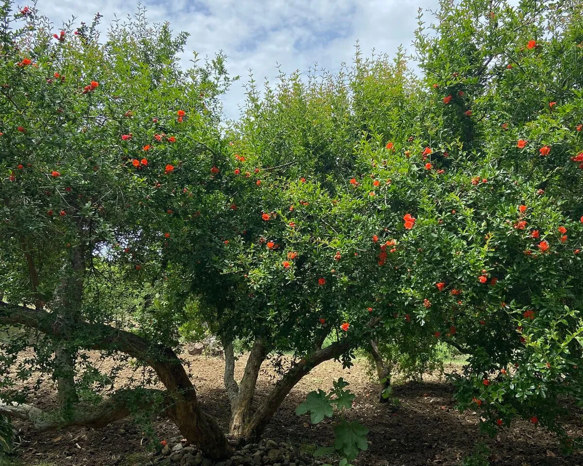 180aec33-a4c7-4fd9-a6c6-08f599472889