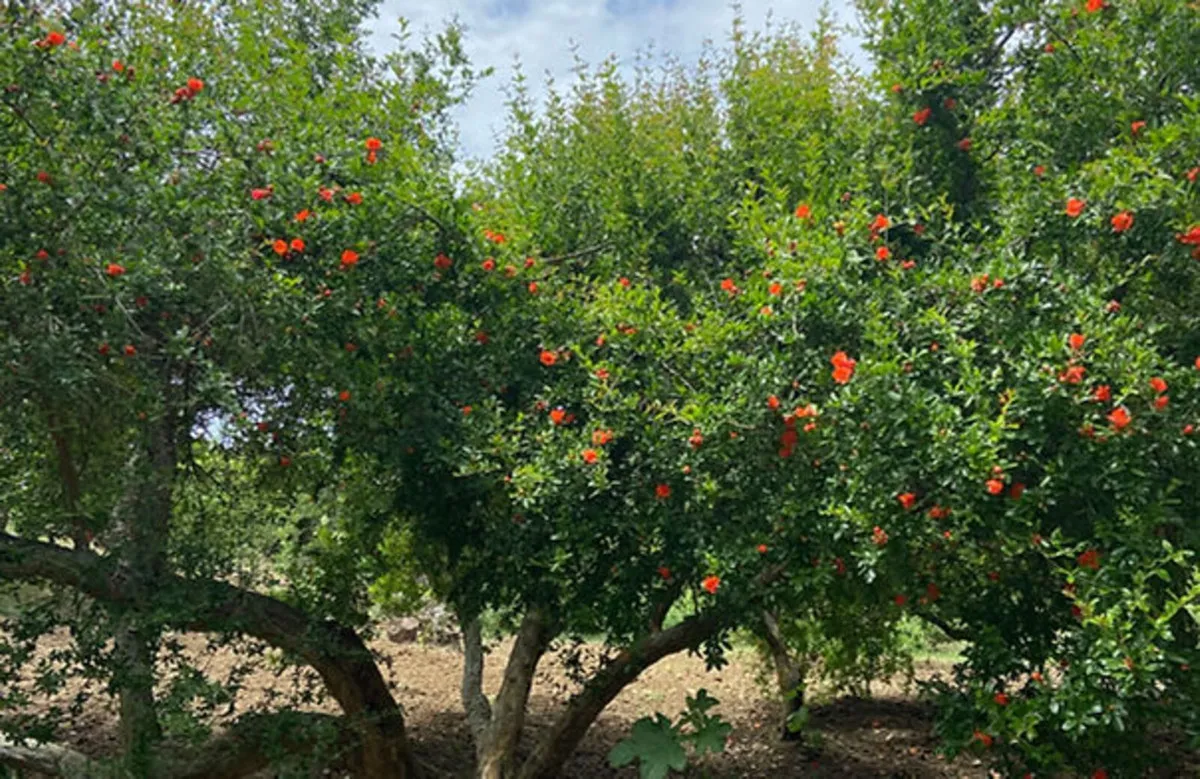 1947acdc-5af9-4061-883c-a656121111f9