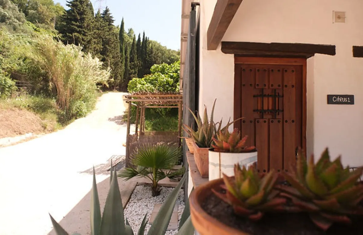 65dffbaa-1bd1-4a86-aafe-2f5e71b81cea