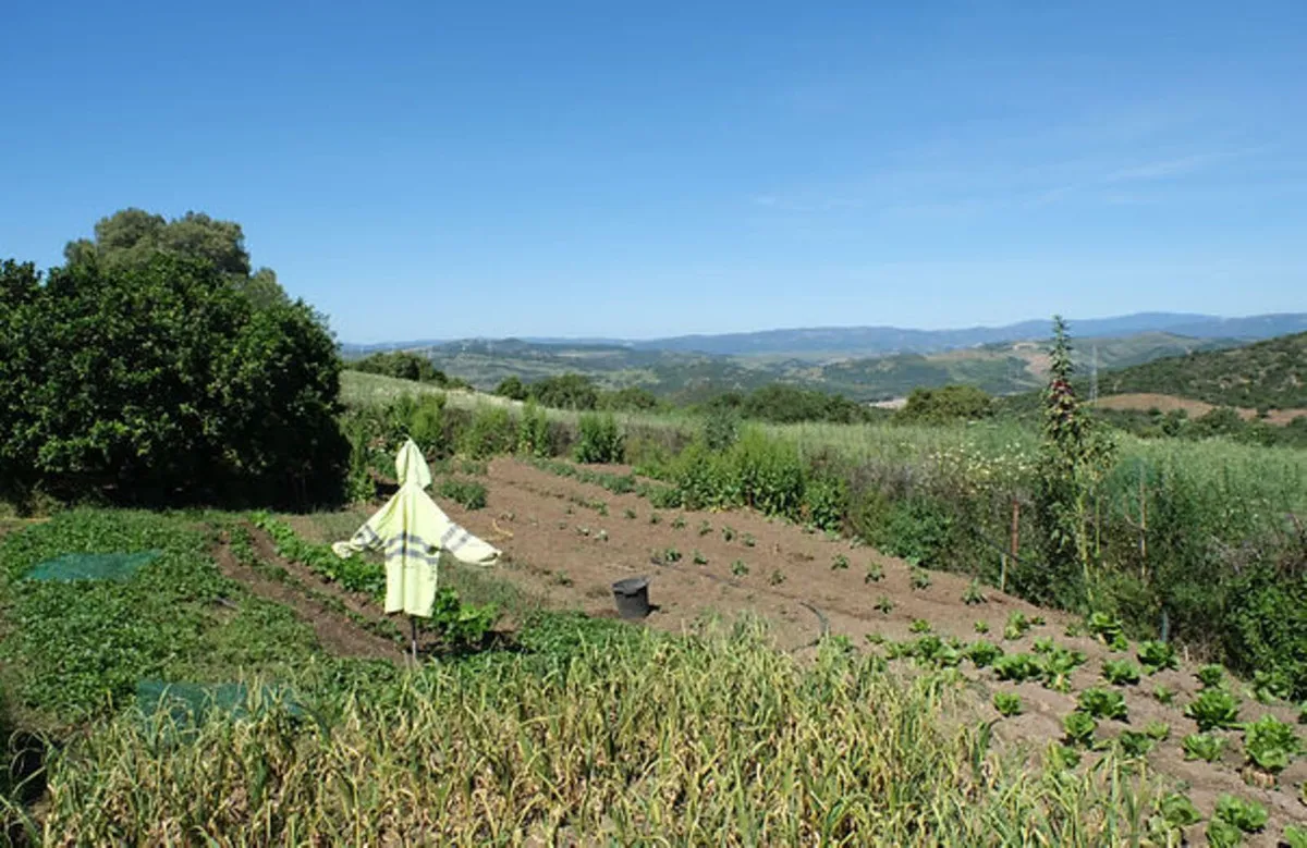 842c1910-f577-4b62-8440-2f375ddb5635