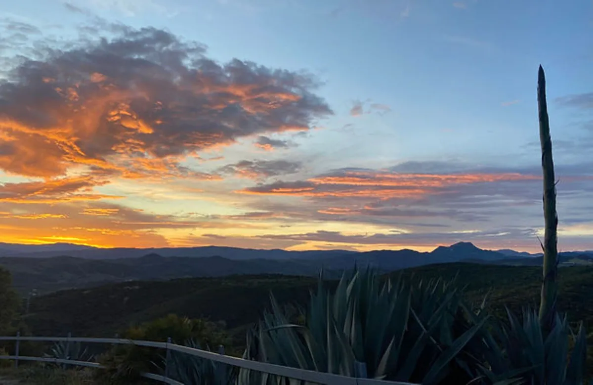 94f6e6ef-12c4-4a3c-a2e6-44e787fcd9d9