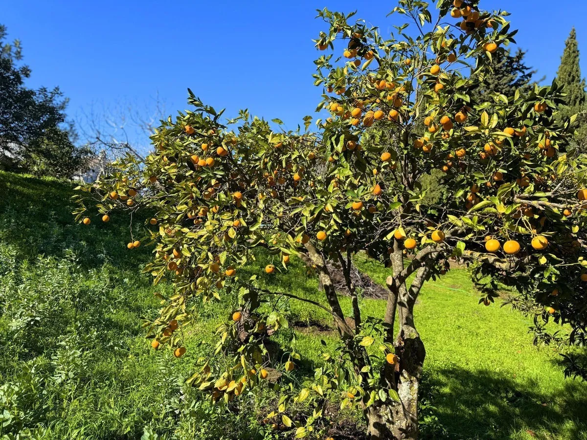 c5adda2e-99ad-41b1-ae38-3c016084cf1f