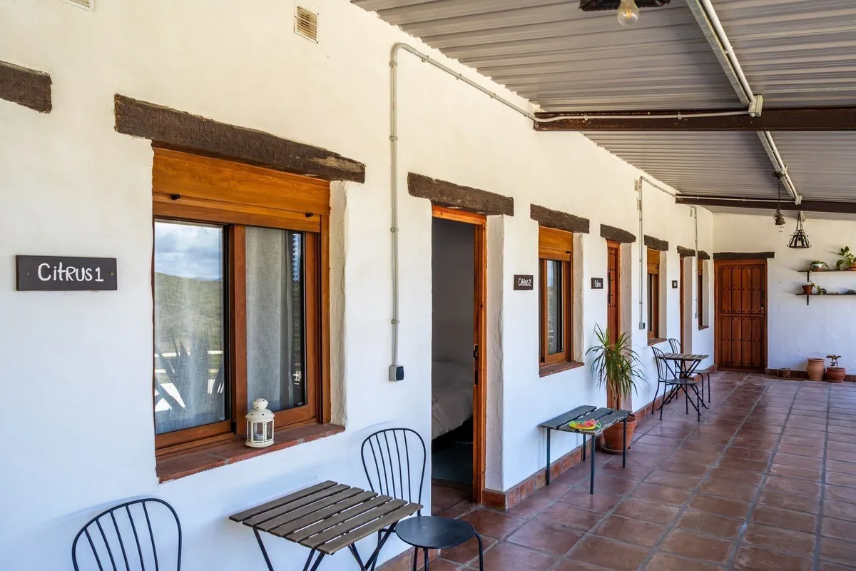 da9d82b8-3785-4c50-8bcd-3f1f9ffea8b1