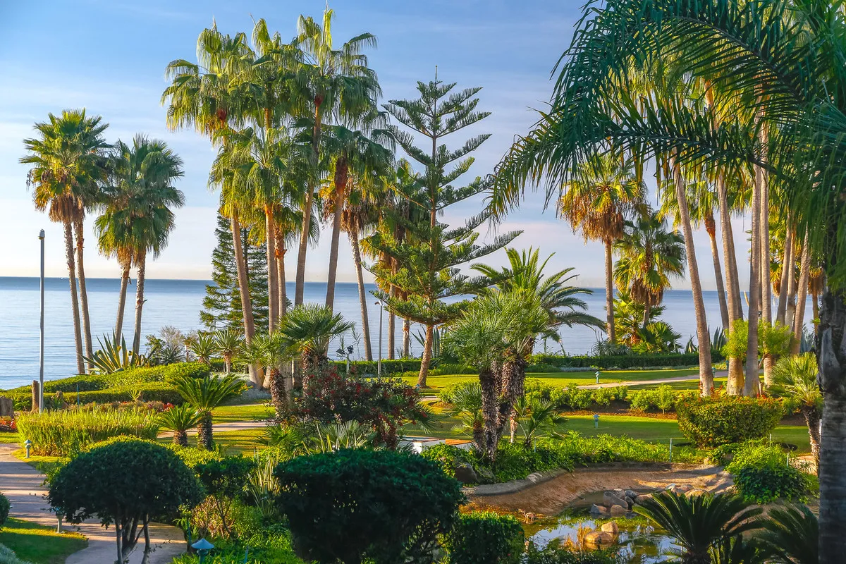 238b2f9b-20b5-464d-a1c5-ac86470fd1a3