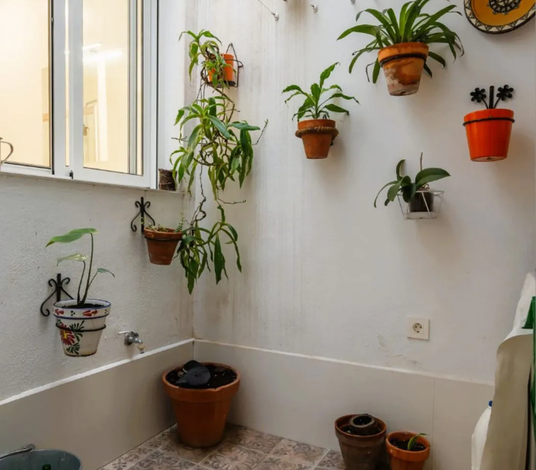 a5373291-00b9-42ee-9b15-dd79aefe8edd