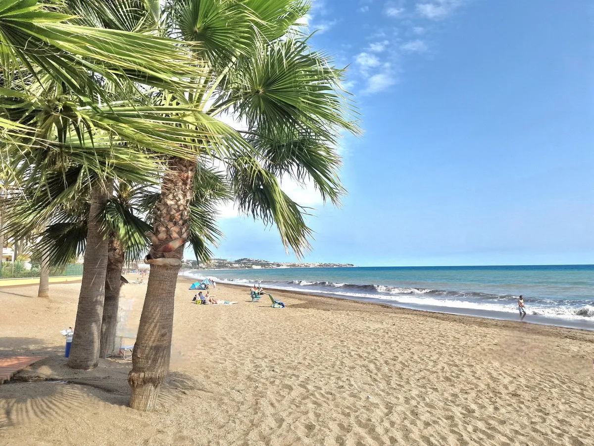 74f3297b-3112-46a6-91c9-73a84e35be88