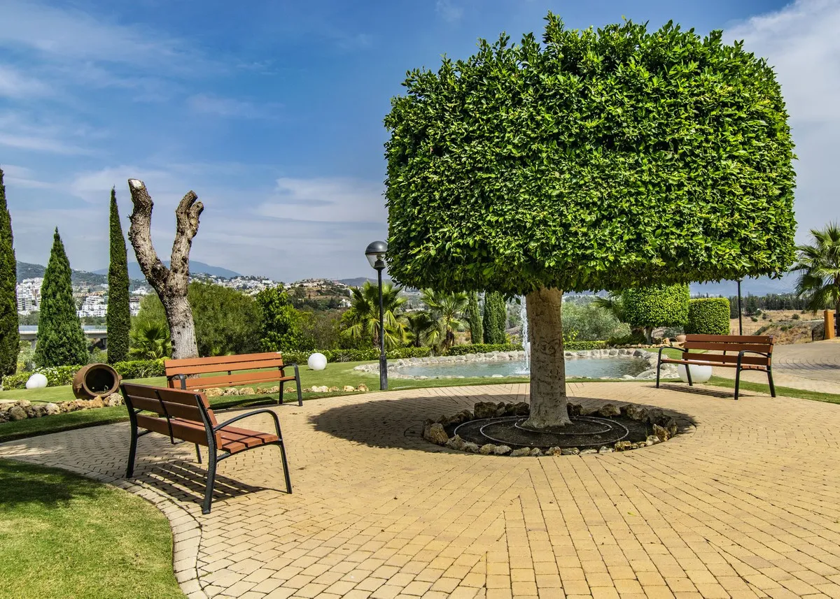 10098609-c2be-46ae-b6db-7fddd4895eae