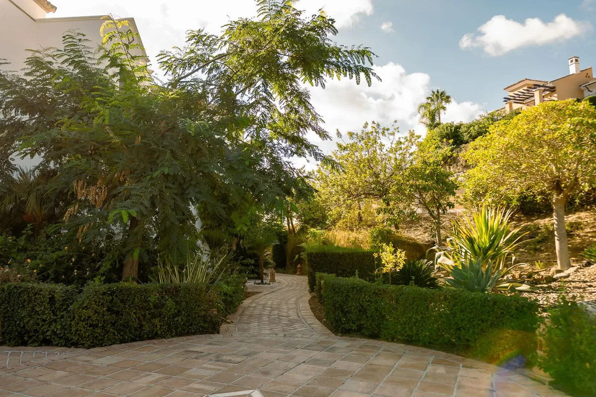 0977e106-a9c3-4c0a-8070-1adac97d8694