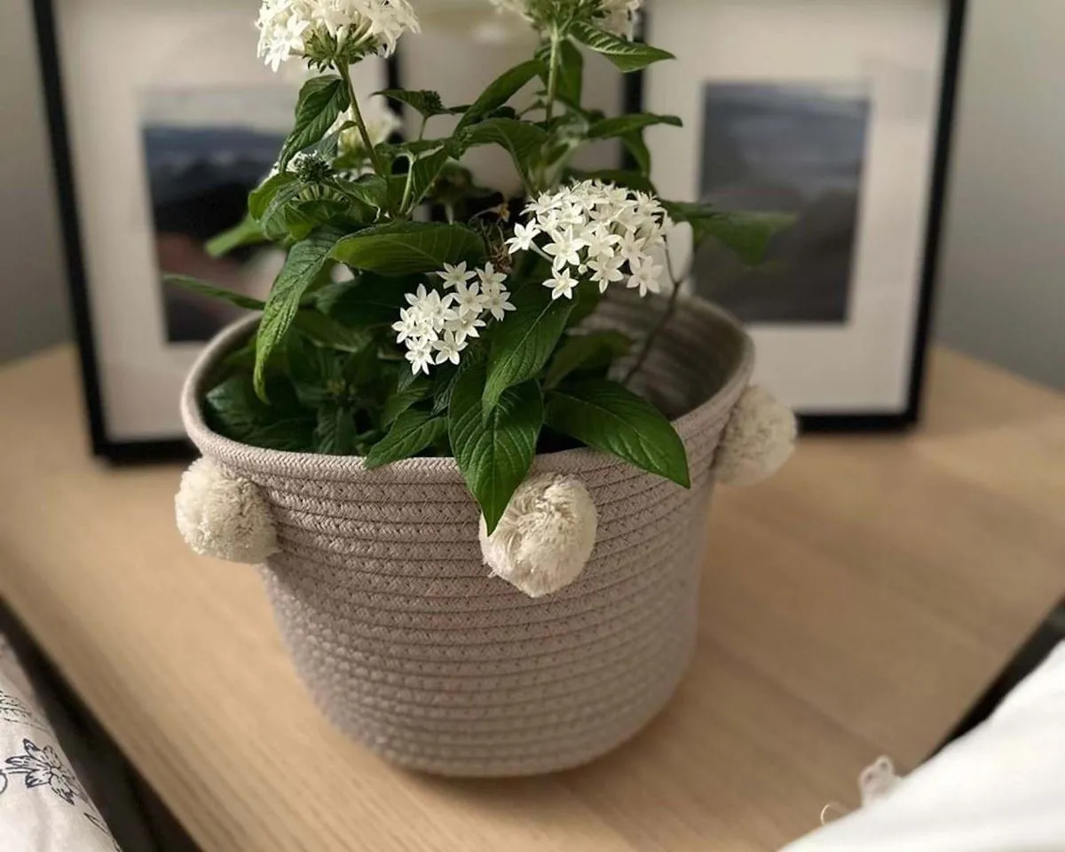 3a36a799-ce19-4e2e-a77c-3195ac802966