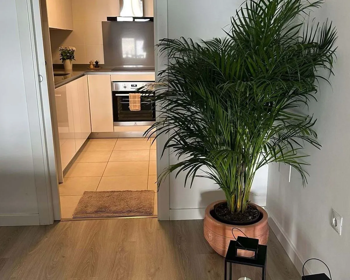 75e509c4-92f7-4fe5-b65c-98ff2797200f