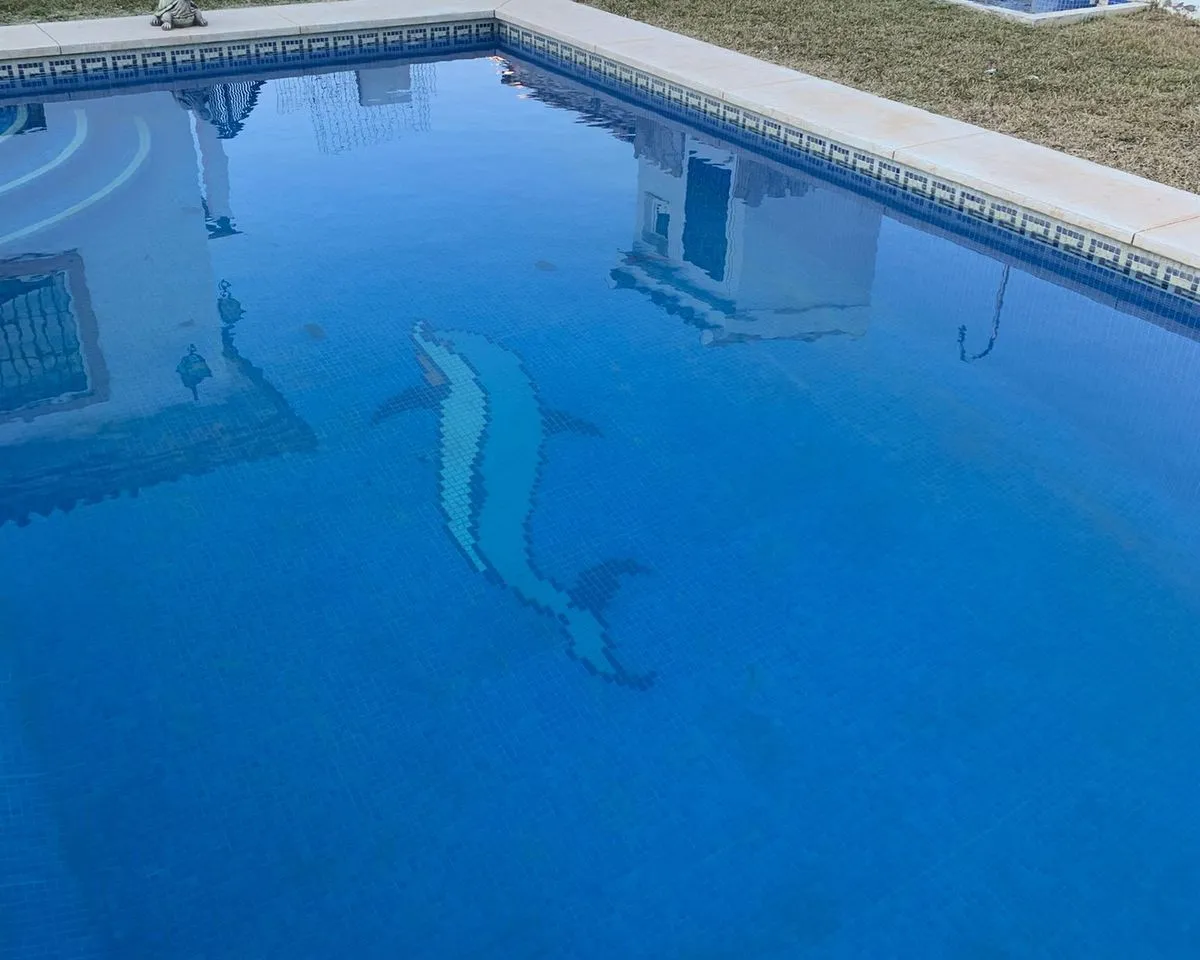 1619e2a4-24da-4714-b1af-62389082e282