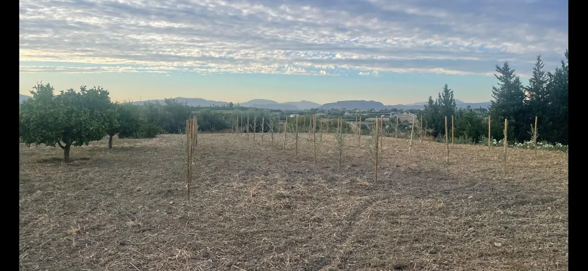 717d2055-ec41-478f-8d7a-8e245d16437c