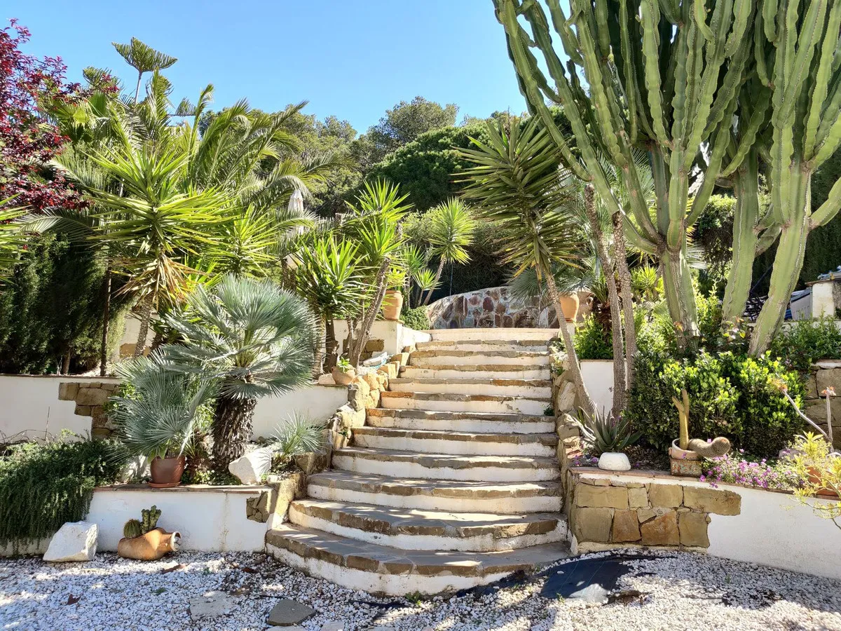 0193f868-ad0b-4454-964b-6c883141baf4