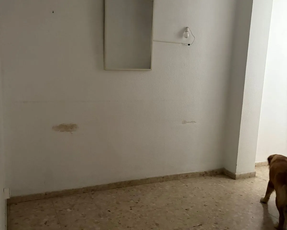 c217bec6-3612-4adf-8ceb-c1cf4fe80df9