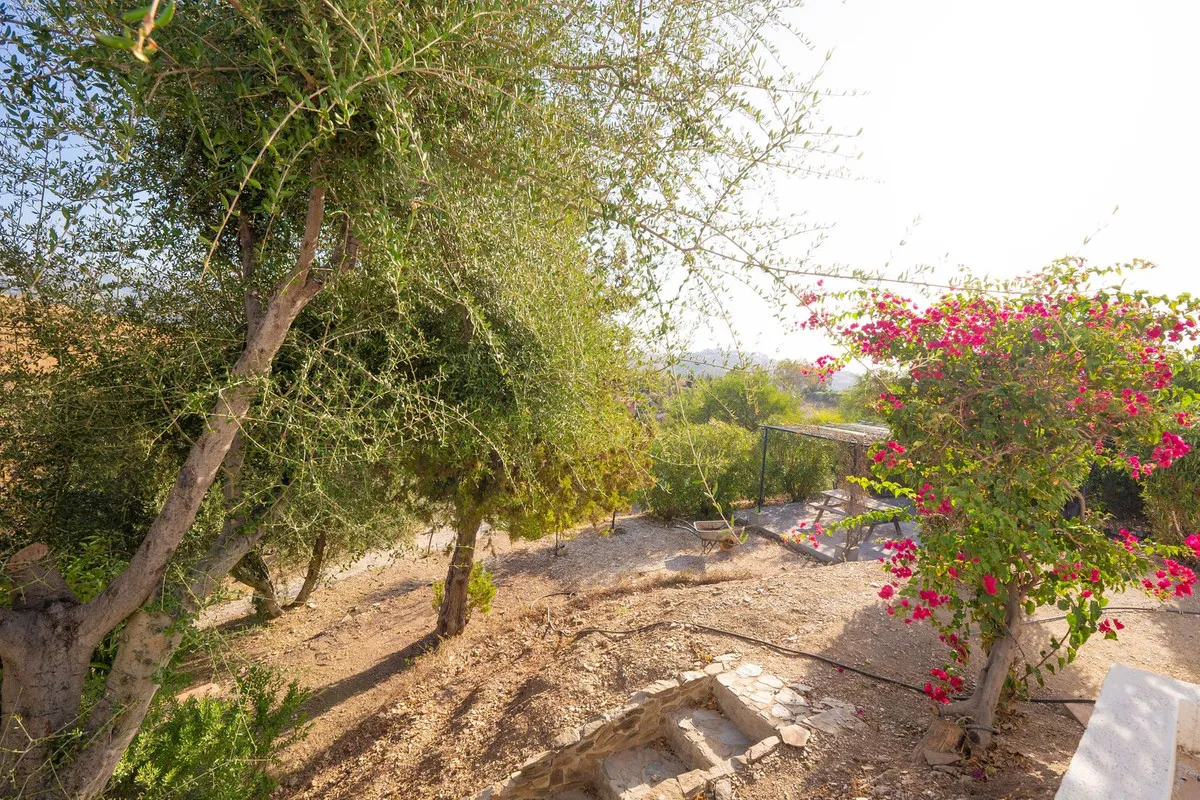 d8e8f07b-4d8c-4639-a528-252acf31cf79