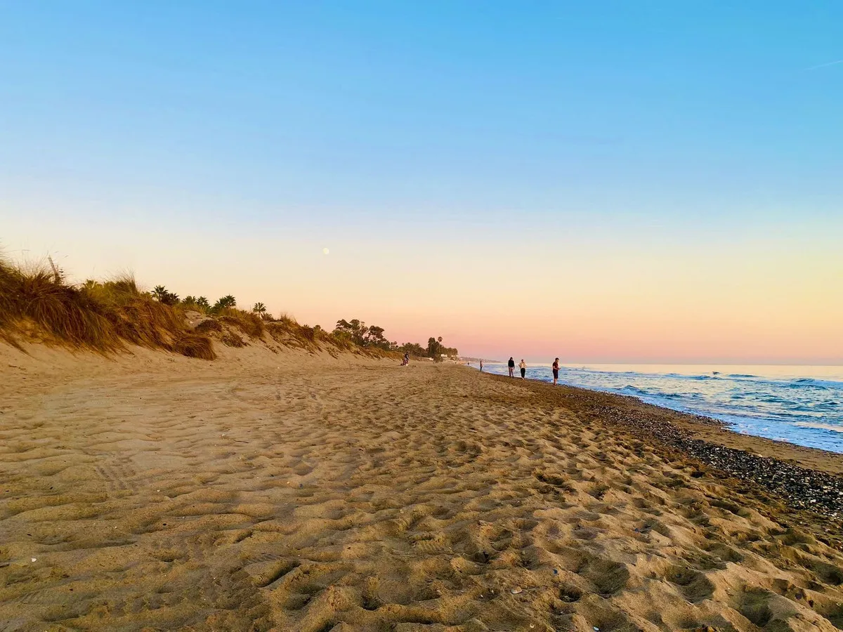 52a234d9-f0f9-410d-9ffb-af7bc2383b1c