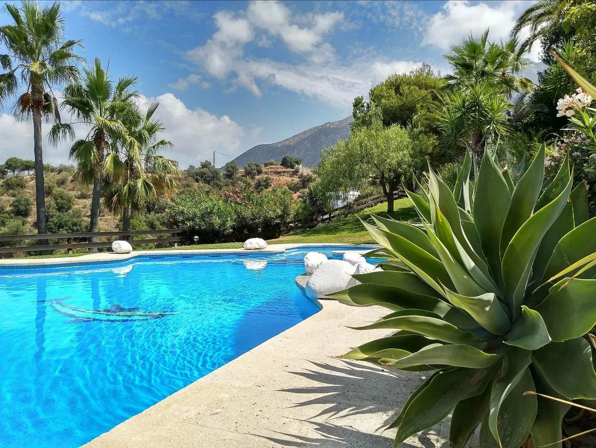 159766a5-5739-4ba3-9910-d58fc0d37e02