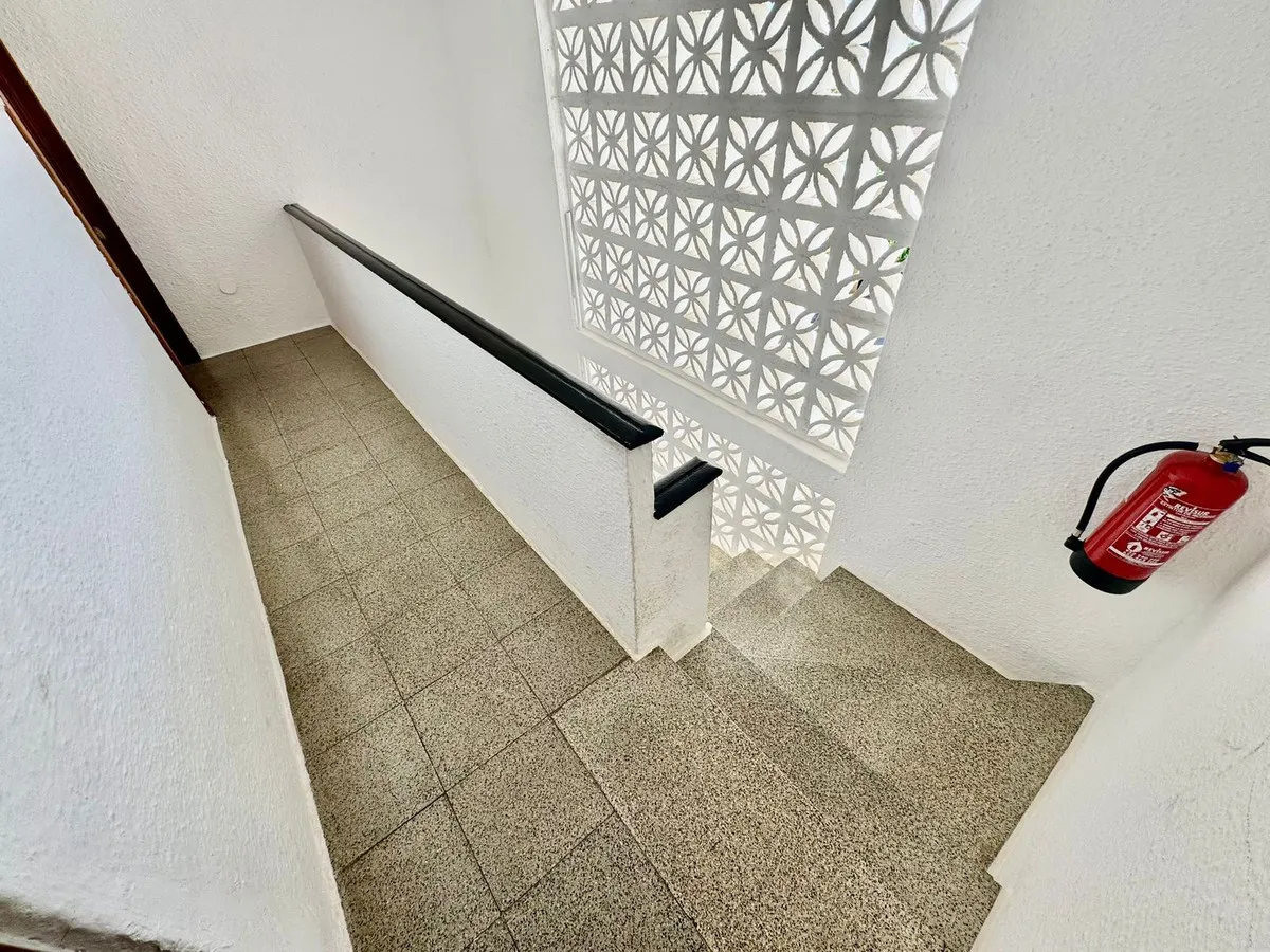 3ba50816-3d4e-419b-bd36-3269d23525f5