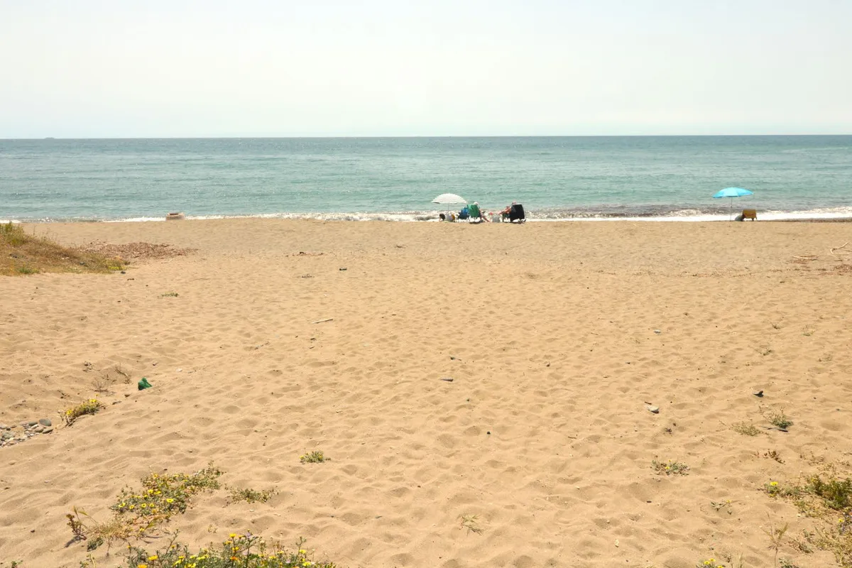 d9ed357e-775a-4624-8d7b-bfd64ddcdee3