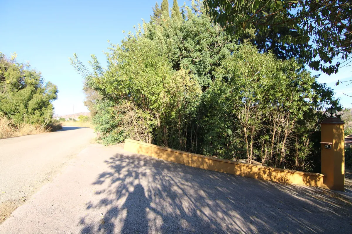 44e32591-5eb0-4a84-995d-34e3d7c159f8