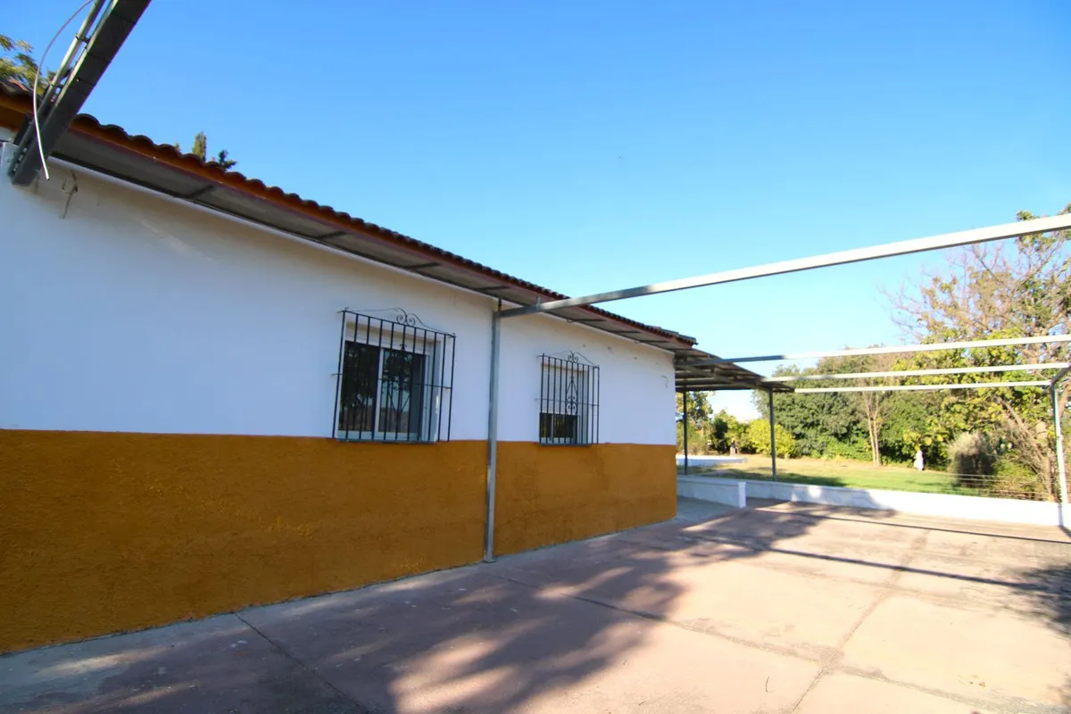 63fd4655-4425-4516-a469-45e7cbd1d858