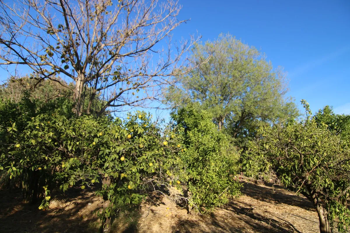 bd3edcd7-ba86-4f7f-a101-b68dcd13ae59