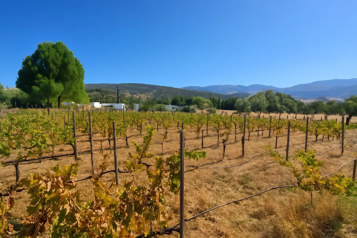 21f01823-5fbb-4bf8-bd97-ccb9afda15ff