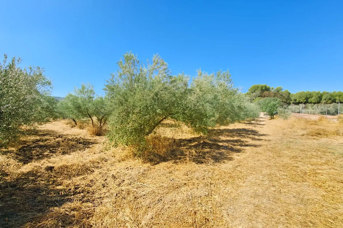 906c6858-f60c-4aae-ac5c-dc7f68d8bcf9