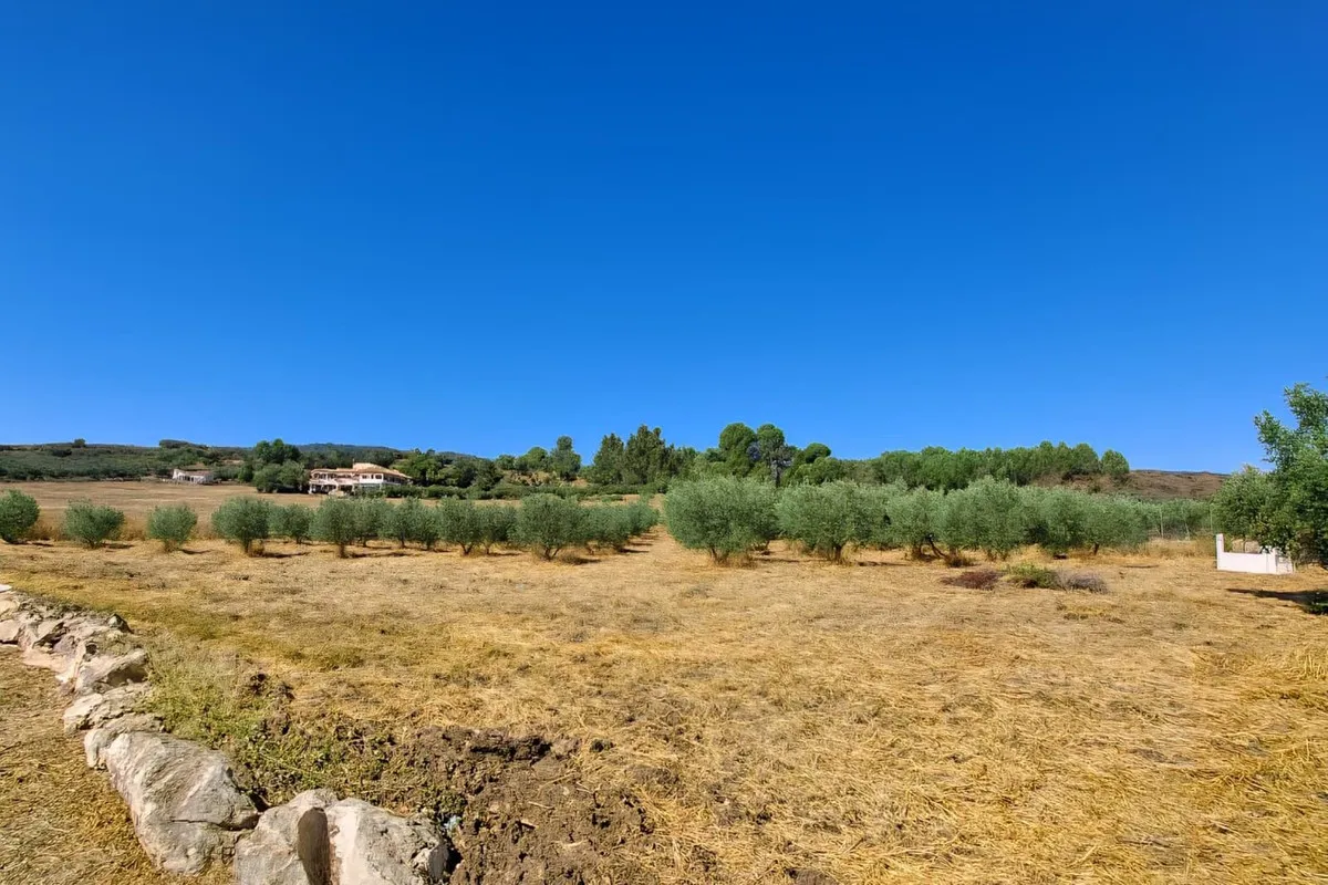 d5314b8e-a852-4930-8098-cfbb8e1128f5