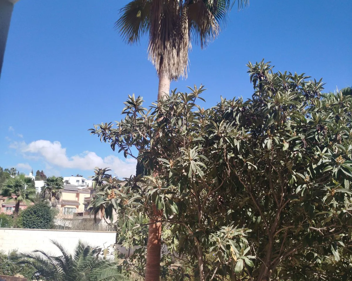 0d928a4c-2b82-4b22-8d95-c84c15b77c17