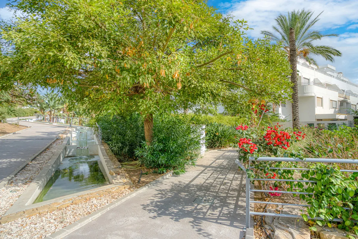 4dbd121f-2914-470f-a4d9-29686efa4c96