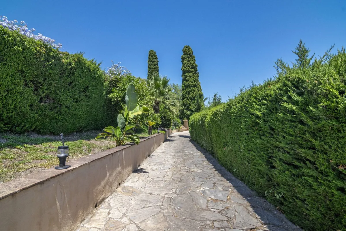 23889425-bdec-4bd0-bb92-a082fc4529a7