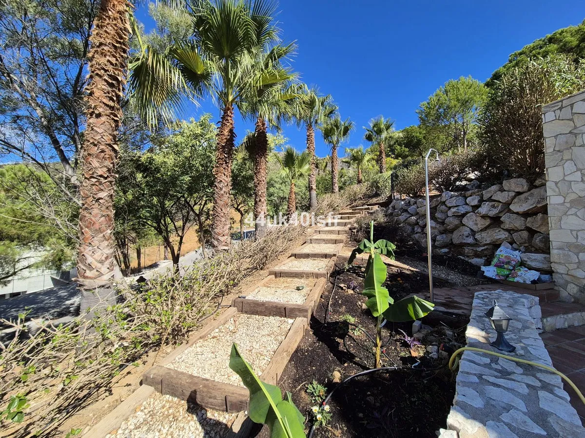 d4bd41c6-60c0-48f8-aacc-6ba19c59834d