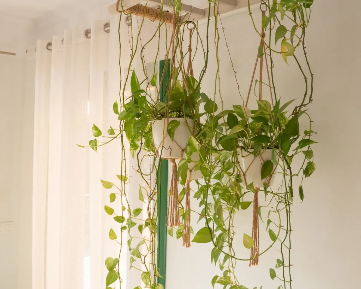 180cf45b-acfe-4a7d-9166-80078f8c549c