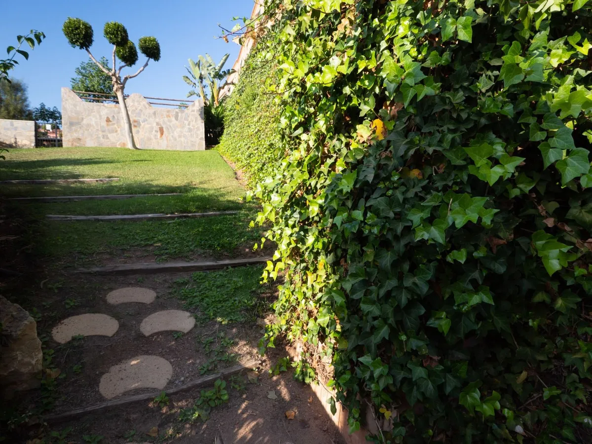 8020038e-3ef1-4b07-a4b2-3d9d3b9ec80c