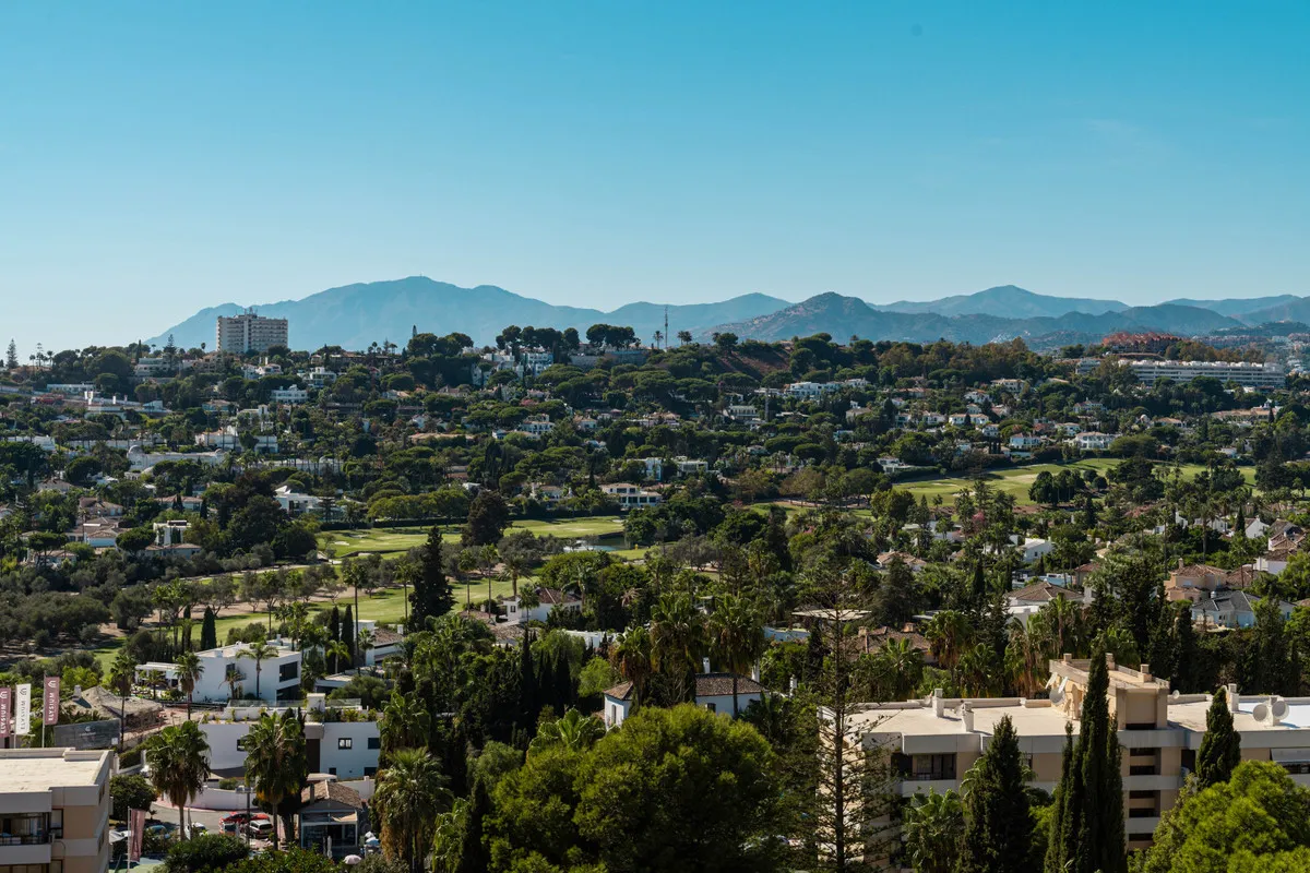 99cd5f8e-7276-486e-9c7b-892a3928ae62