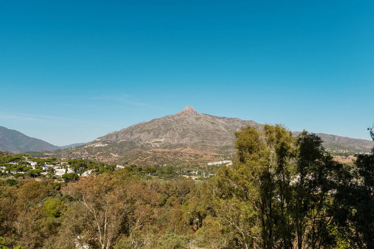 fd80b500-380d-4081-902a-9bfee3961020