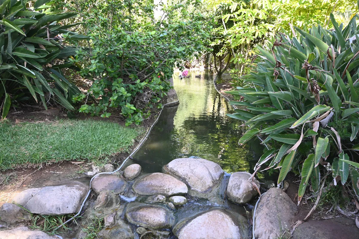 1665eefb-76fa-4835-abe9-39c6517e1508