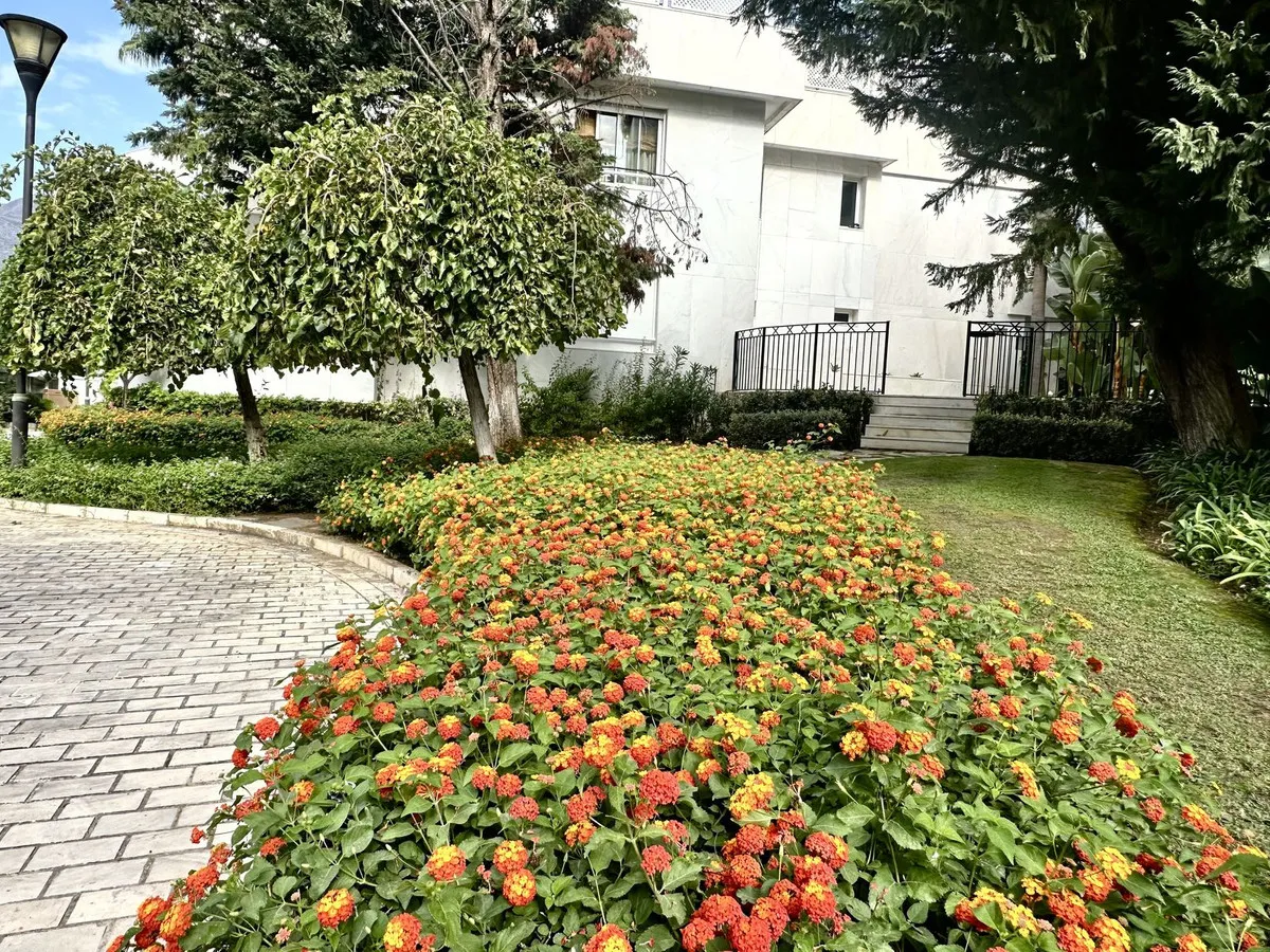 be561e95-23cb-49e7-9d8f-e4ba56904a52