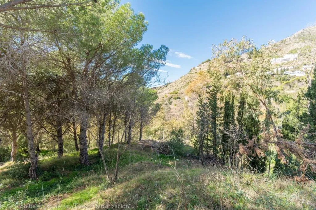 9d2bcf24-2a96-4181-aff3-87124b063594