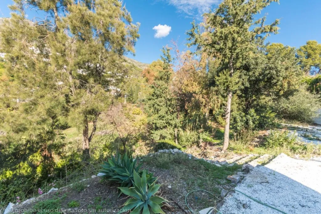 b4398c9e-8d37-4121-804a-5fac943a2023