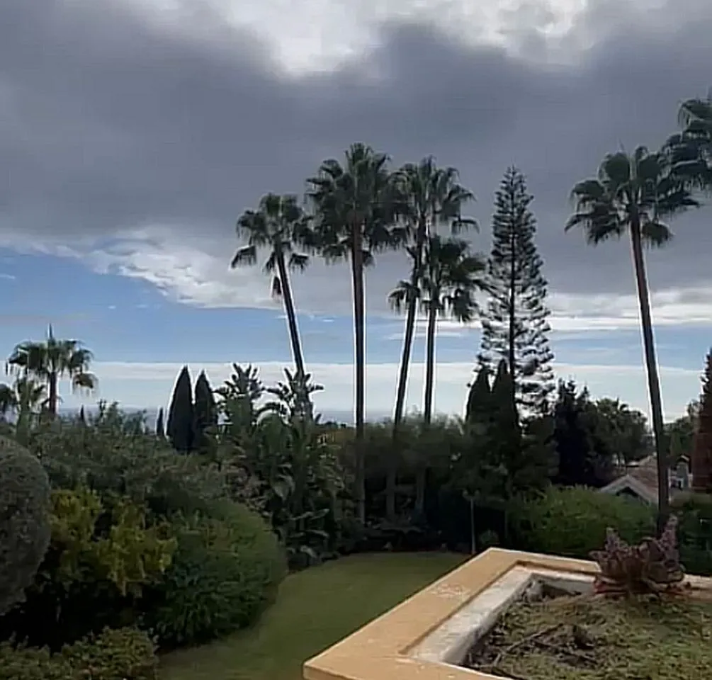 49fc2302-c12d-4a89-a0ae-2860bd5b3df4