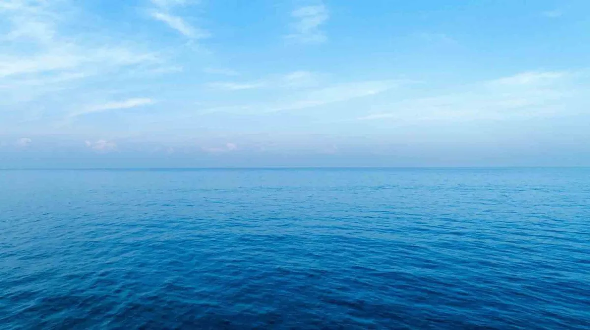 6b5d1988-dea1-4976-b20d-c8423c73c5bc